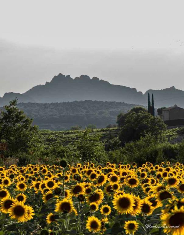 Chambres D'Hotes Aux Tournesols Malaucene Bagian luar foto